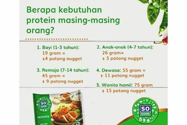 kebutuhan protein harian