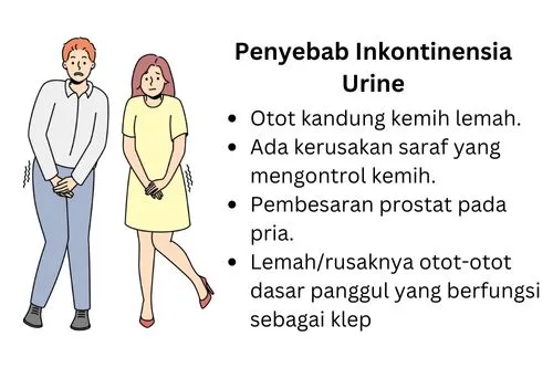 penyebab inkontinensia urine